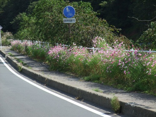 DSCF0497