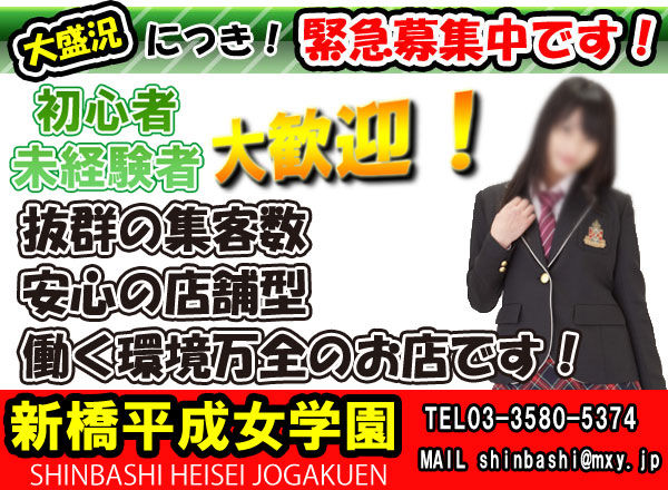 新橋風俗高収入求人　新橋平成女学園
