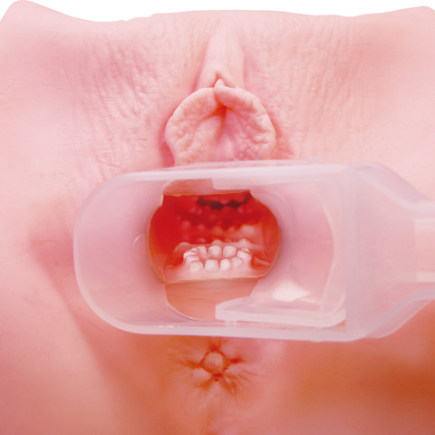 PT06