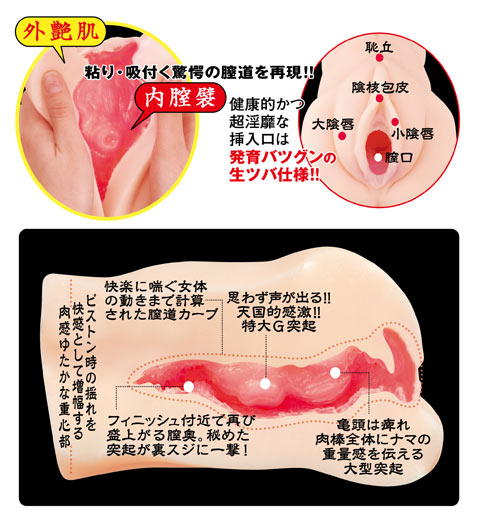 cho_naizu01