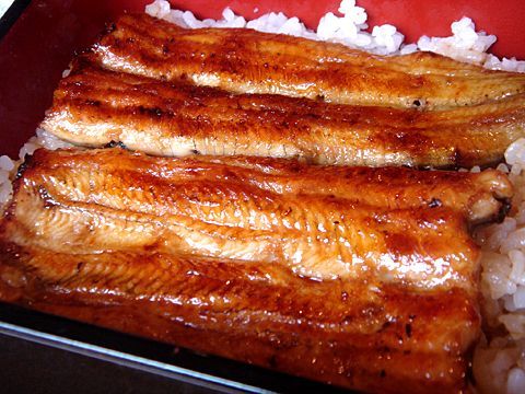 うな重