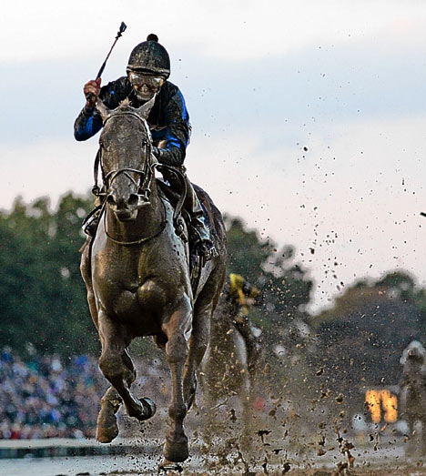 Curlin in the Breeders Cup