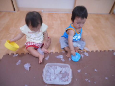 DSCN1781