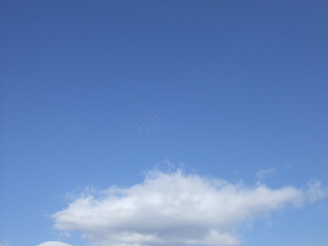 DSCF4350