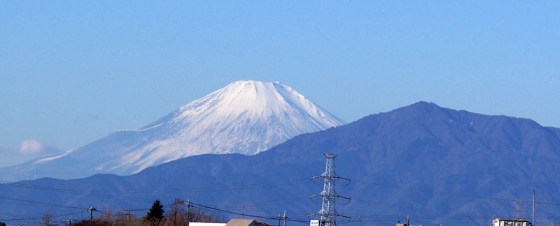 トリムIMGP7796
