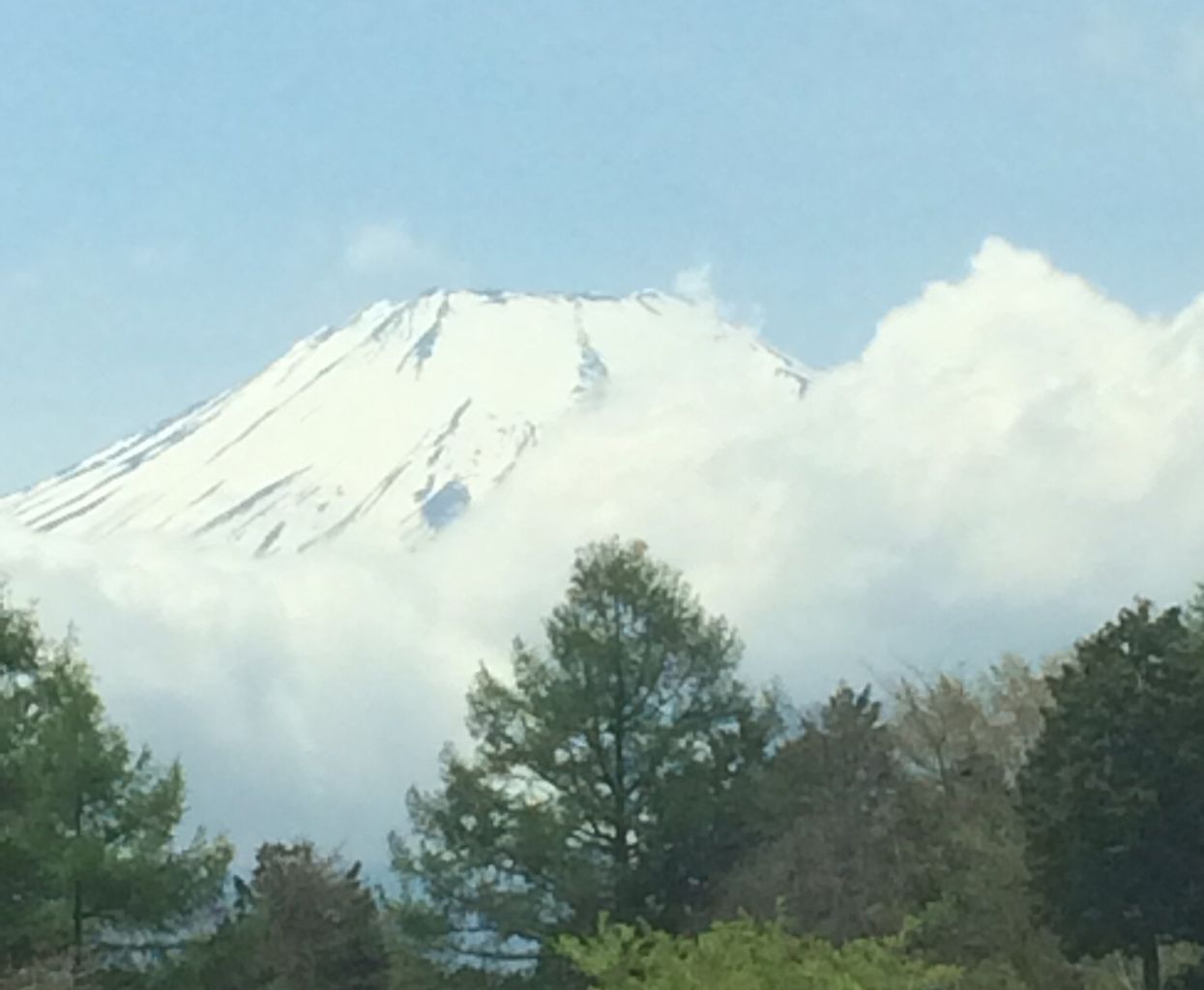 富士山