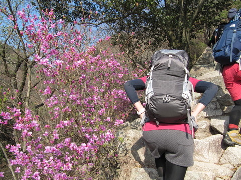 水登 六甲山