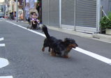 珍しい写真。