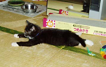 20040715-1