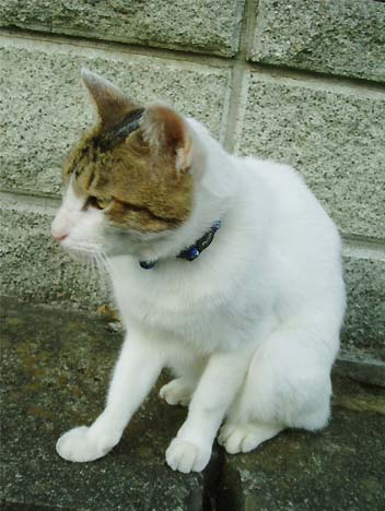 2006.9.24-3