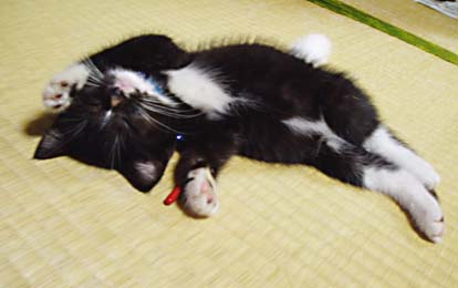 20040715-3