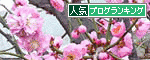 br_decobanner_20110310122425