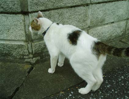 2006.9.24-1