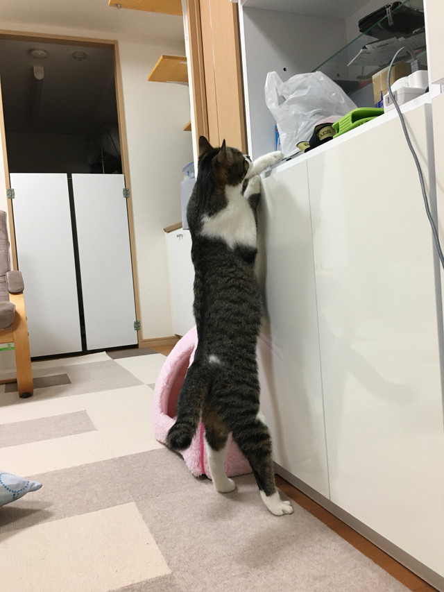 2018-04-10-19-52-24