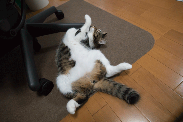 2017-10-07-のびー