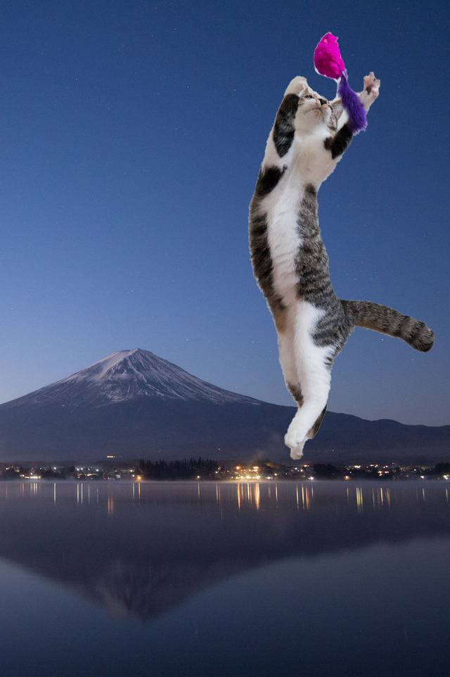 逆さ富士
