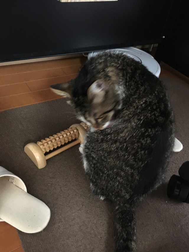 2018-03-03-13-47-38