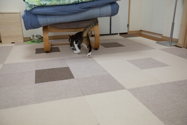 2018-01-14-09778