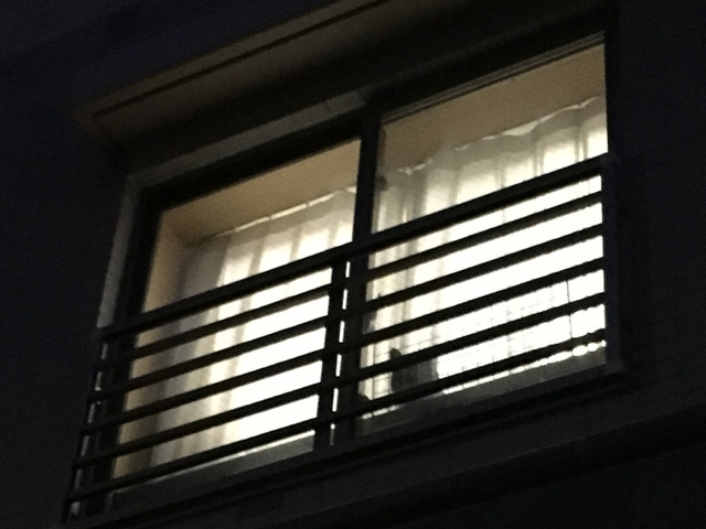 2018-04-13-18-37-32-2