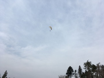 IMG_0330