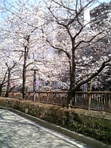 5b63c13a.jpg