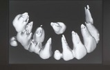 ebb46445.JPG