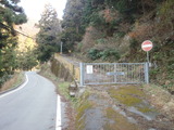 右の道へ