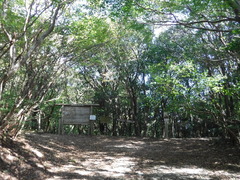 椎原峠西