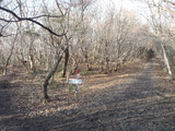 縦走路6