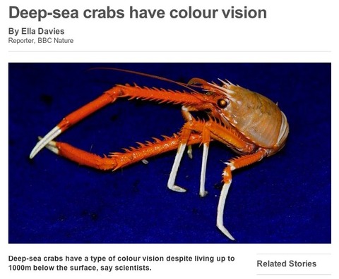 BBC Nature - Deep-sea crabs have colour vision