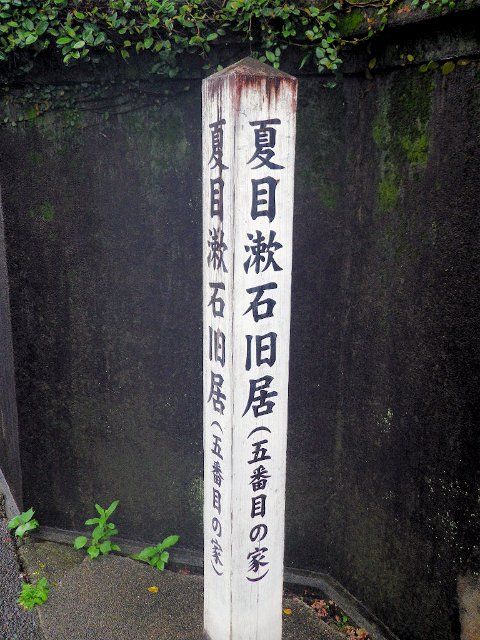 IMGP4531