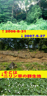 807d78a3.jpg