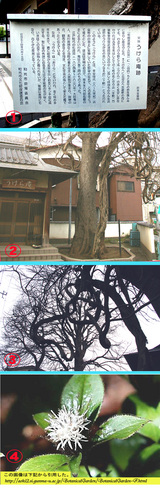 93fb50f2.jpg