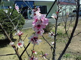 200803281235000