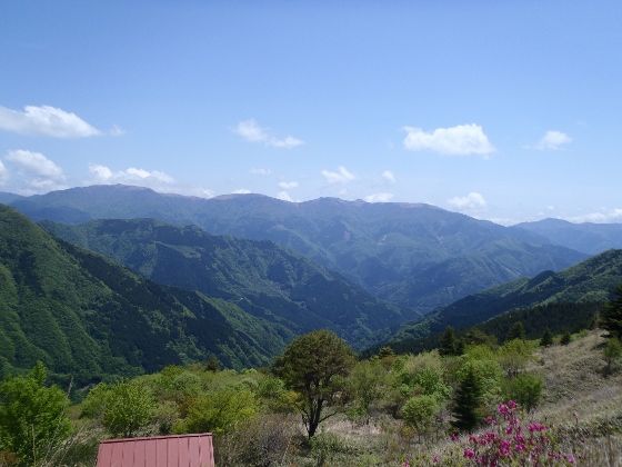 P5250907 (560x420)