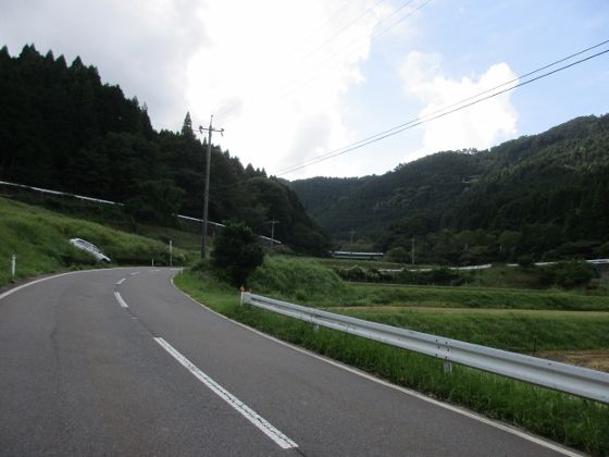 IMG_4095 (560x420)
