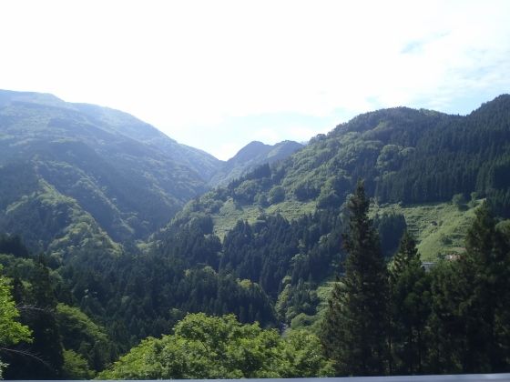 P5250875 (560x420)