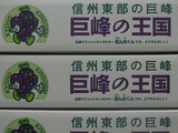 P1012671
