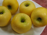 P1013679