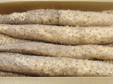 P1012039