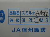 P1013695