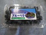 P1011615