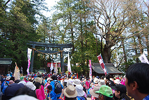 20100505_007