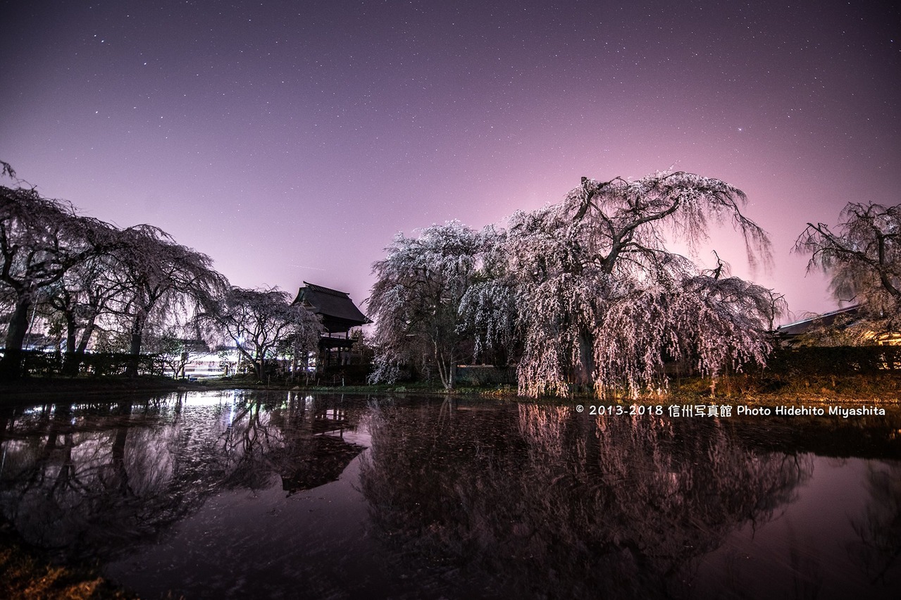 夜の安養寺