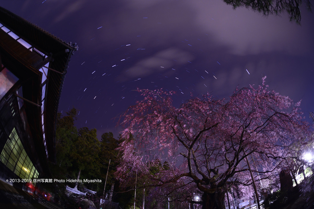 舞台桜と北天の空 20190406-_DSC5105