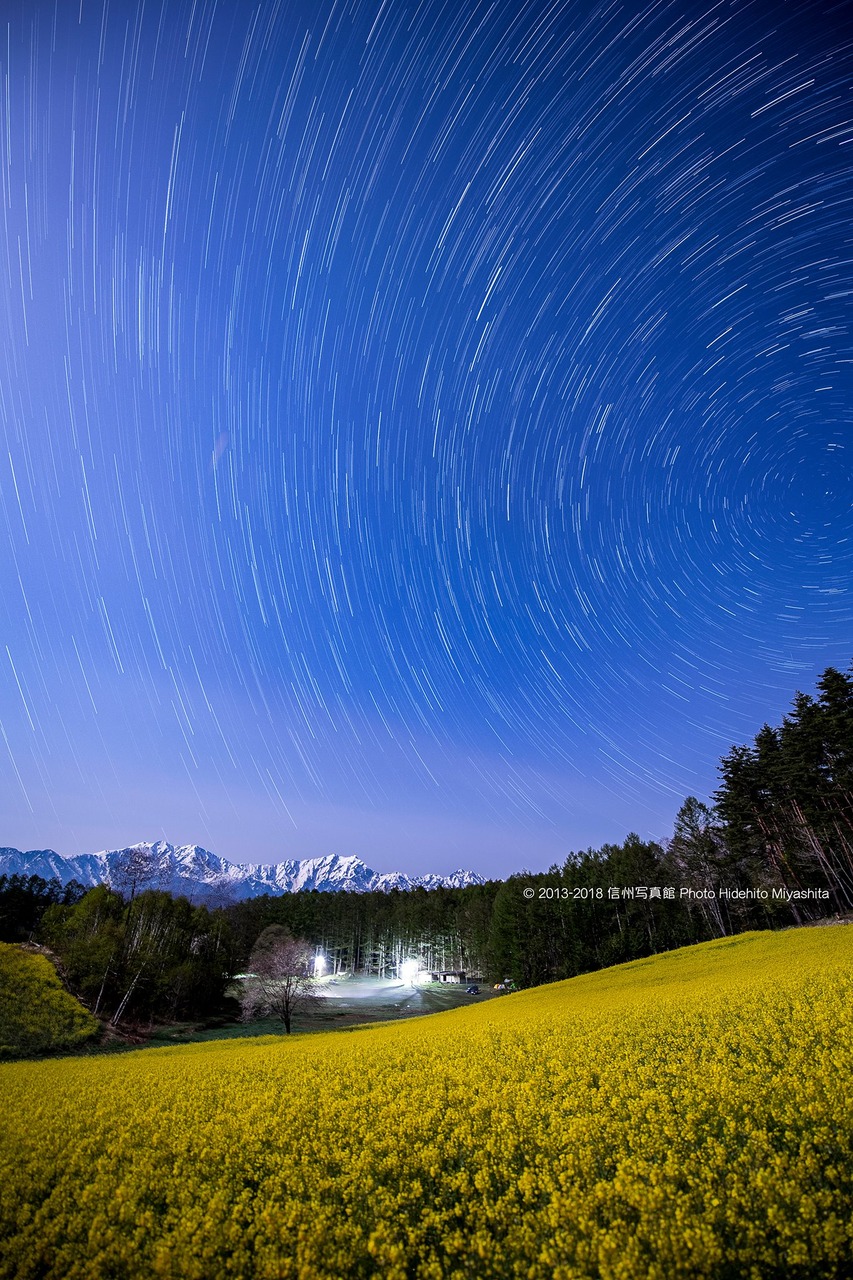 菜の花咲く深夜の高原