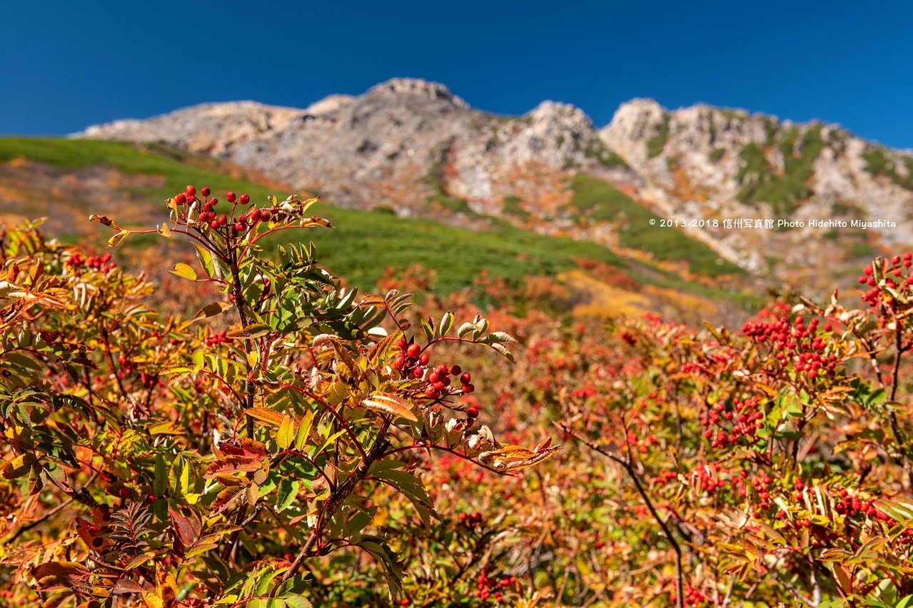 紅葉御嶽山
