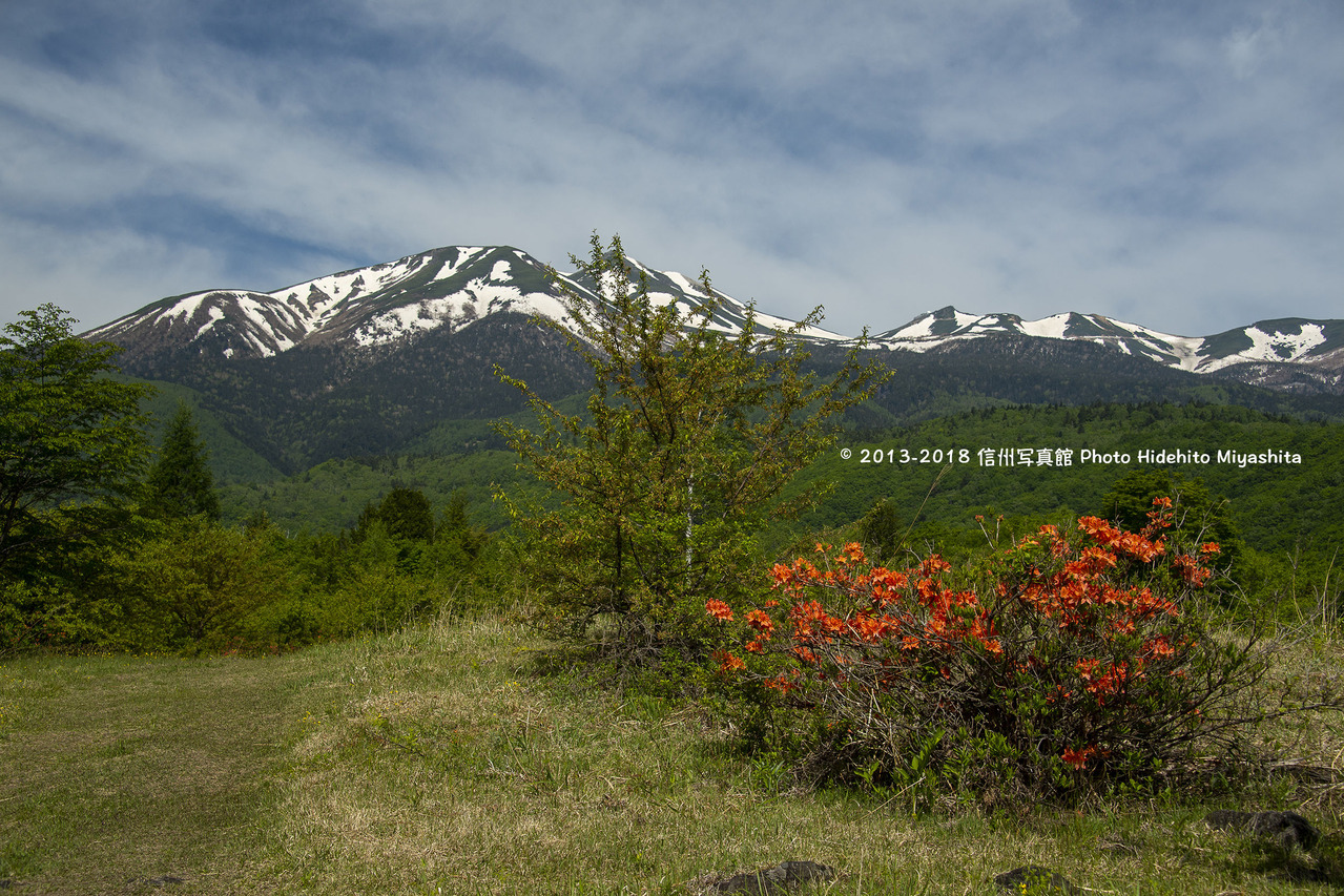 乗鞍岳を望む20180605-_DSC6172