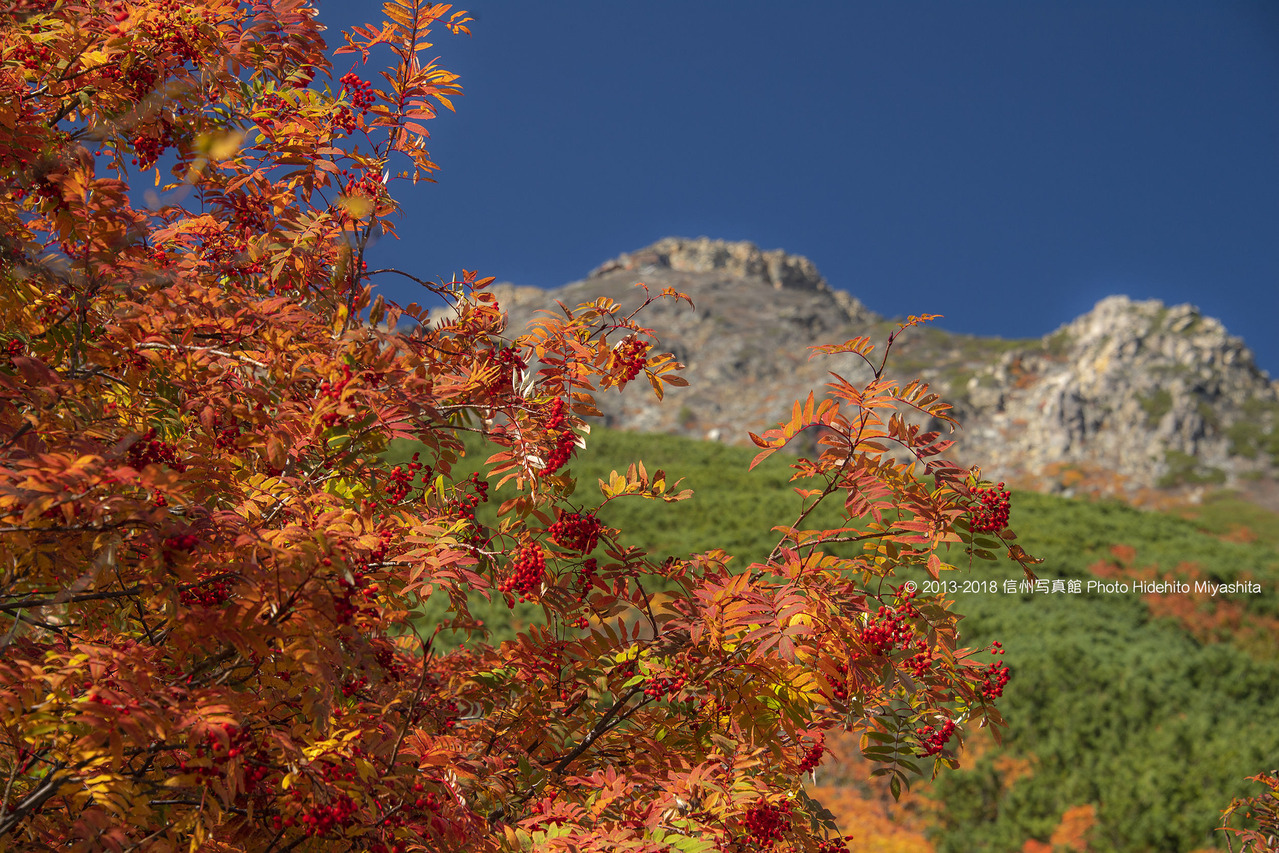 紅色 20180928-_DSC5586