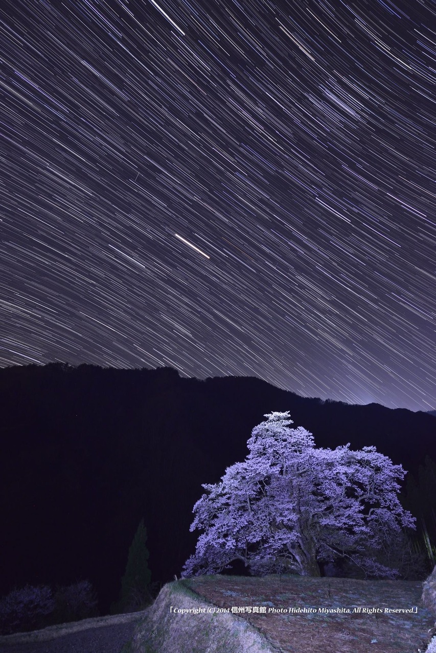 星夜の駒つなぎ